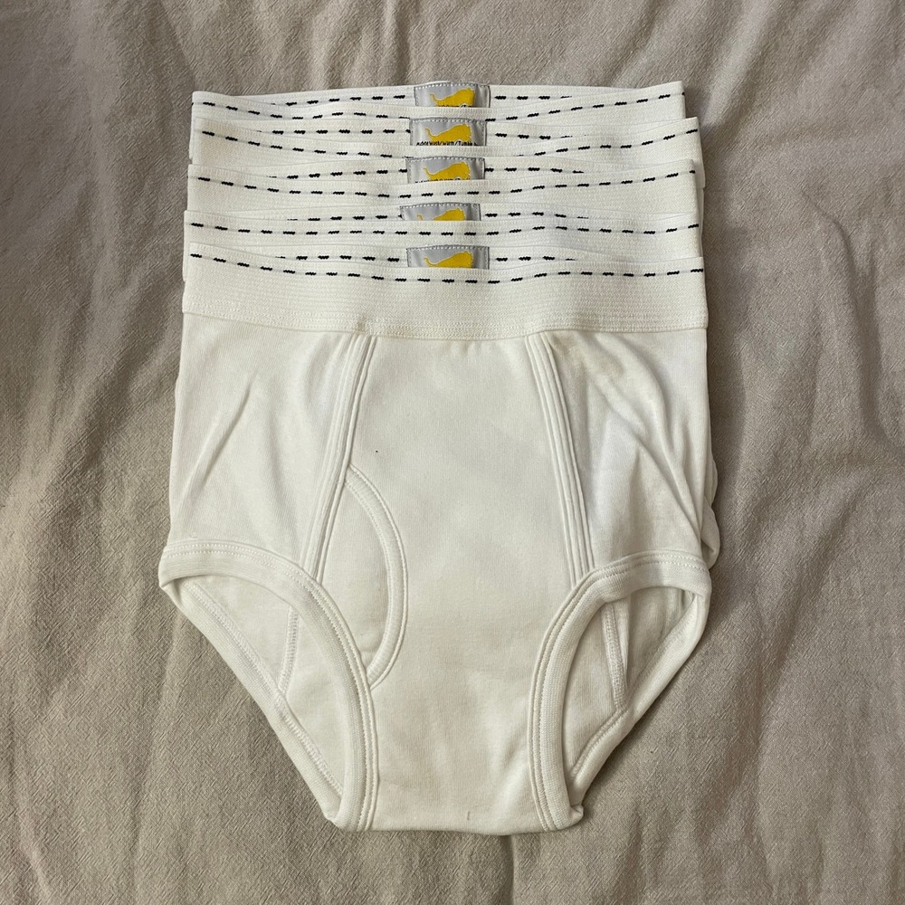 Deadstock 5 Pack Tiger Briefs Boys 10-12 White Cotton Underwear Vintage
